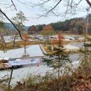 산림욕장 진입로 이미지