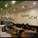 카페 커피캣 Daum카페