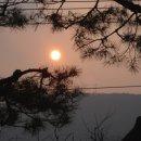 상운농장 이미지