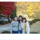 성은수지 이미지