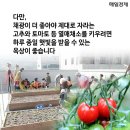 농부박스 매일경제