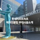 도담 | 속초여행 가족여행 숙소추천 속초 롯데리조트 체크인정보 부대시설 소개