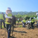 군서농협 이미지