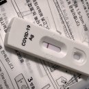 (주)본가정항우케익 다대포역점 | 찌그리기 | 9월 2주차는 적정 온도 찾기🌡