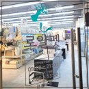 로얄펫 강아지분양 고양이분양 전주본점 이미지