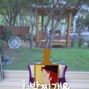 계란후라이 이미지