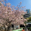 킹스PC방 이미지