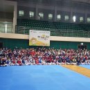 우석대 엘리트 태권도 이미지