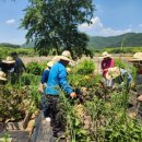 경도농장 이미지