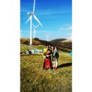 태수목장 이미지