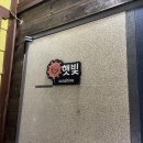 유채꽃길에머문시간