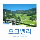 까치노래방 | [원주 여행] 7개월 아기랑 오크밸리 리조트 힐스 빌리지 1박