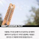 안강JU복싱클럽 이미지