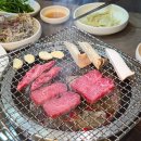 씨유 울산병원점 | 울산 신상 맛집 신정동 고기집 암소마당