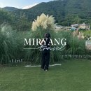 참샘길 | 경남 밀양 가볼만한곳 팜파스 참샘허브나라