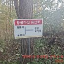 혜성태양광발전소 이미지