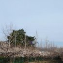 연산부자부동산중개사무소 이미지