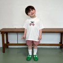 노이 이미지