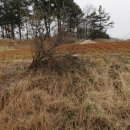 원등농장 이미지