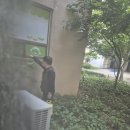 어린이집 외간 소독하기 이미지