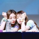 술시 이미지