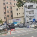 포레스트 베이커리 | 부산 온천장 베이커리 카페 로띠포레스트 오픈런 후기｜신상 대형카페 숲 뷰 카페