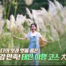 바지락체험 네이버블로그