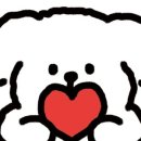 위드미 - 목포시 | 위드미