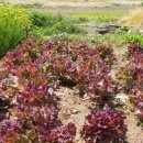 청산민박 이미지