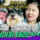 뭔가 이 영상 저한테 결혼 바이럴 같아요 이미지