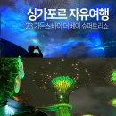 싱가포르 여행 가든스바이더베이 야경 슈퍼트리쇼 자리 꿀팁