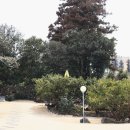 남원읍-79 네이버블로그