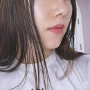 비비크림 :: 레노덤 데이롱비비크림 팩트 실버 후기!