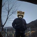 비타민 팜 오토캠핑장 이미지