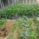 숲속향기생태어린이집 이미지