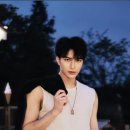 담천