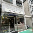 타이라(Tayra) 이미지