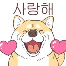 이불 속 댕댕이 이미지