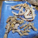 녹동건어물판매장 이미지