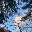 구암사 | 순창[천년고찰] 영구산 구암사 Yeonggusan Mt. Guamsa Temple