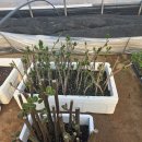 태경농원 이미지