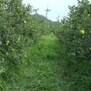 늘햇살농원 이미지