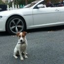 명랑이용원 이미지