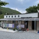 충북 제천 캠핑장 후기 || 대현캠핑장 6번사이트