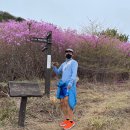 자산동274 | [창원등산]마산합포구 무학산 진달래꽃 산행 후기 2022.04.15