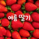 푸릇상회 이미지
