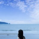 헤이도그 이미지