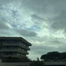 히든호텔 | 제주도 호텔 I 히든클리프 호텔 후기(객실, 인피니티풀, 온수풀)