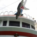 해너미민박 | [인천여행]여름휴가 주말 섬여행 승봉도 추천!