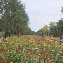 26년 10월 6일 화요일끝밀잇기 (다)로 이어갑니다 이미지